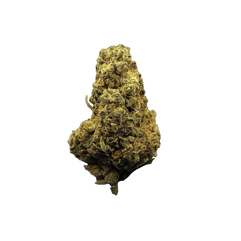 BLUEBERRY SWISS CHEESE