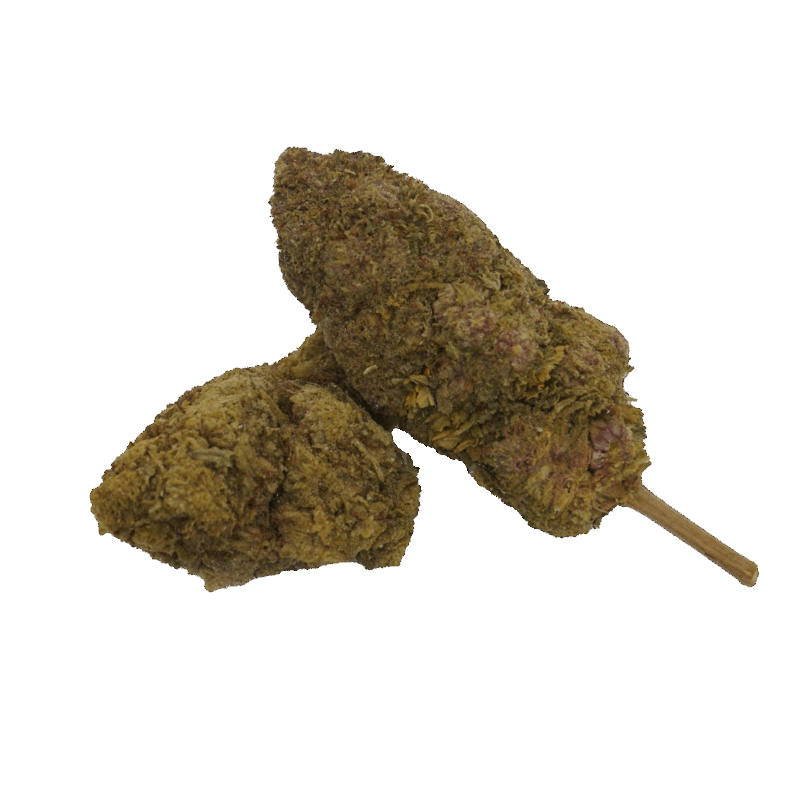 Orange Bud HIGH SENSATION