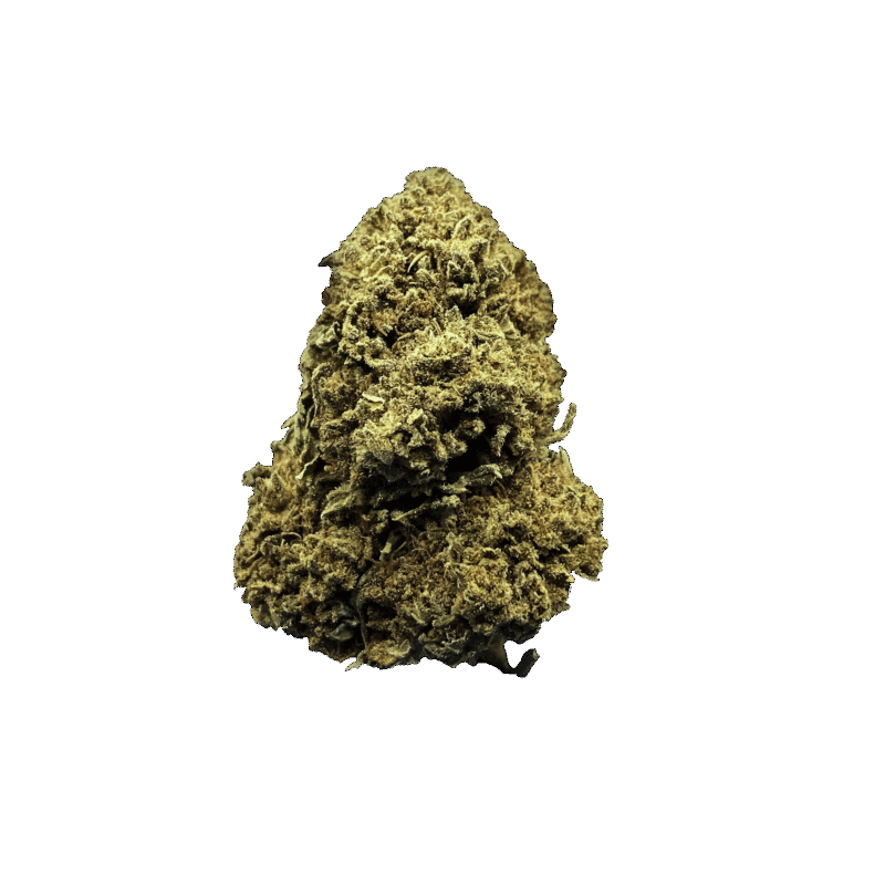 JACK DIESEL