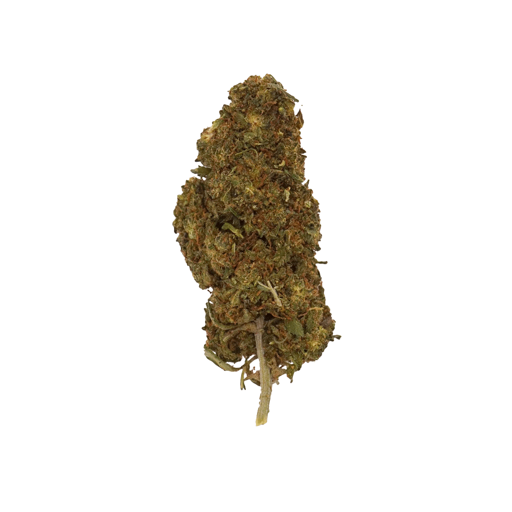 Mystery HIGH SENSATION