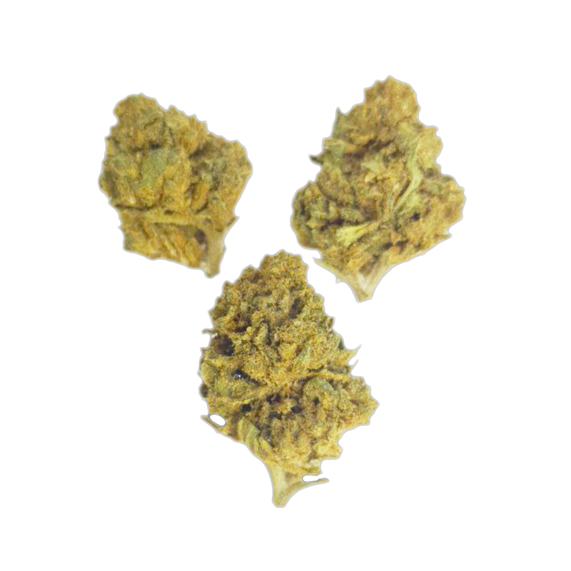MINIBUD AK47