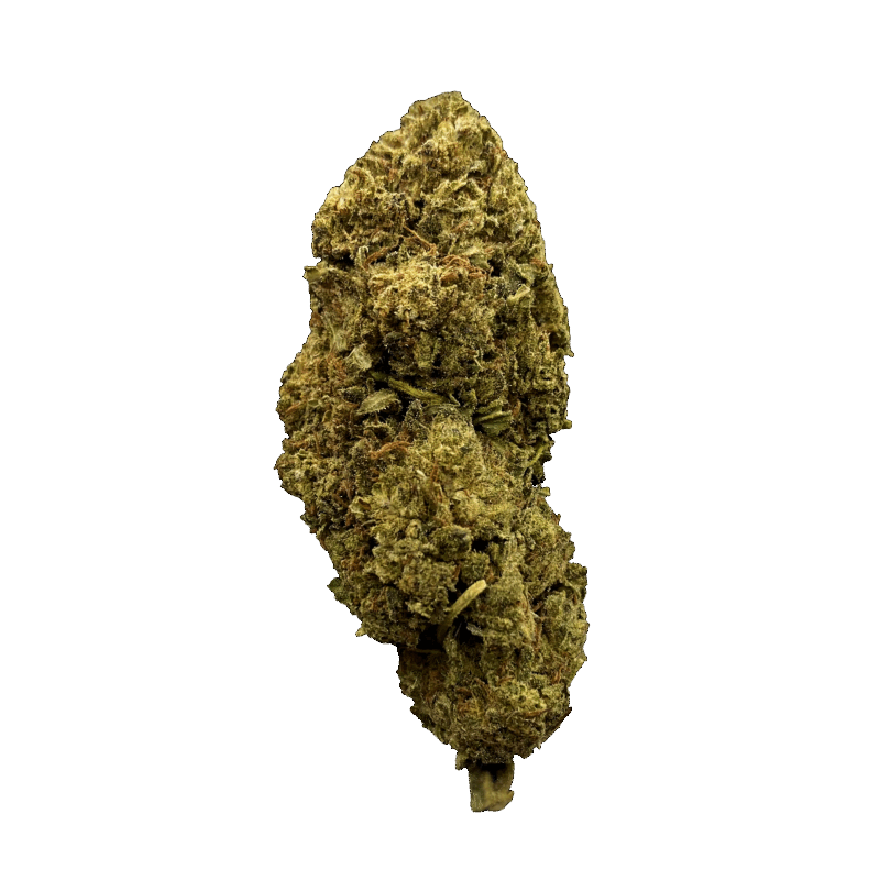 WHITE WIDOW