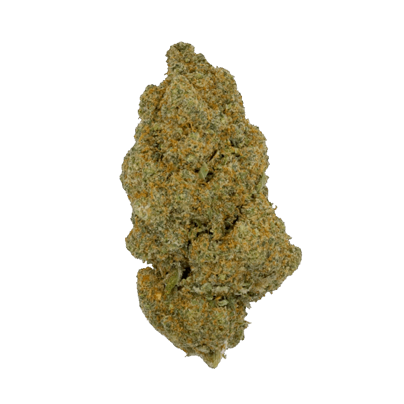 AMNESIA HAZE