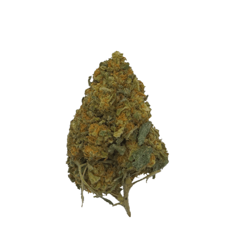 Bubble Gum - Fleur de CBD Greenhouse Premium