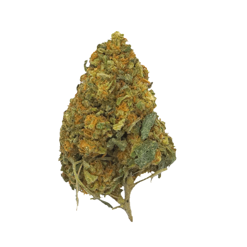 Bubble Gum - Fleur CBD Greenhouse