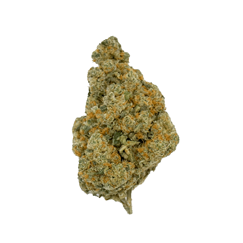 Gelato