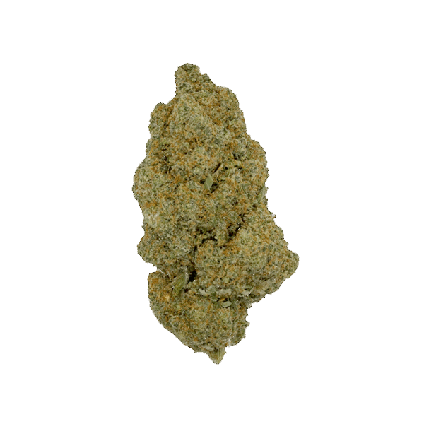 White Widow